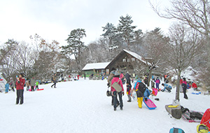 ピクニック広場