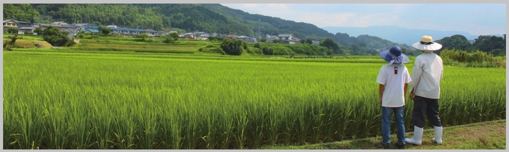 おじいちゃんが農業をやめたら田んぼはどうなるの?